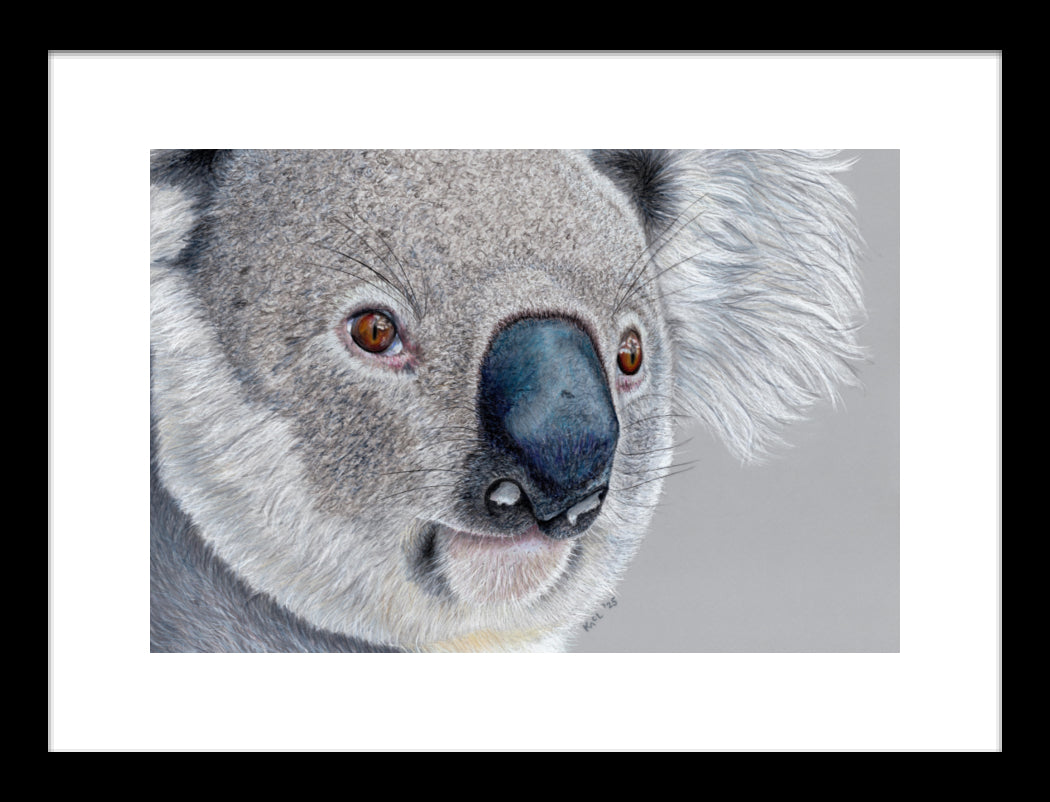 "Handsome" Framed Fine Art Print