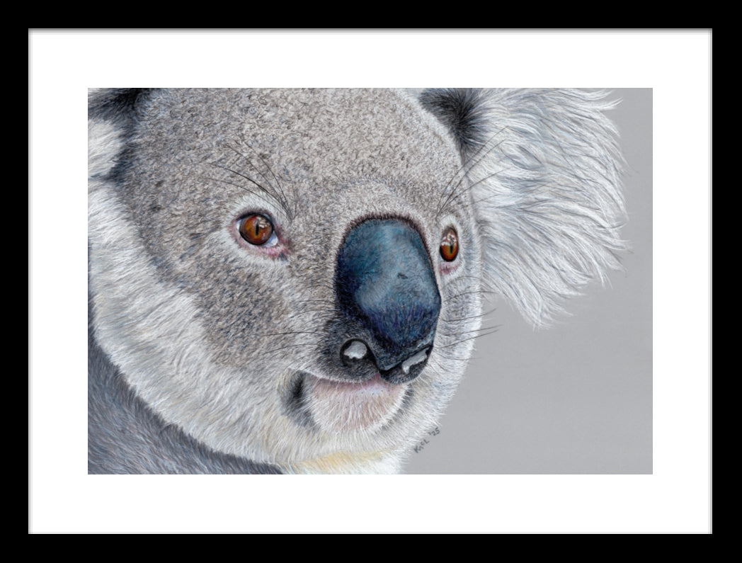 "Handsome" Framed Fine Art Print