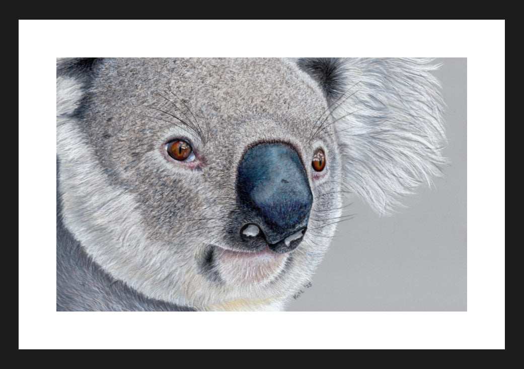 "Handsome" Framed Fine Art Print