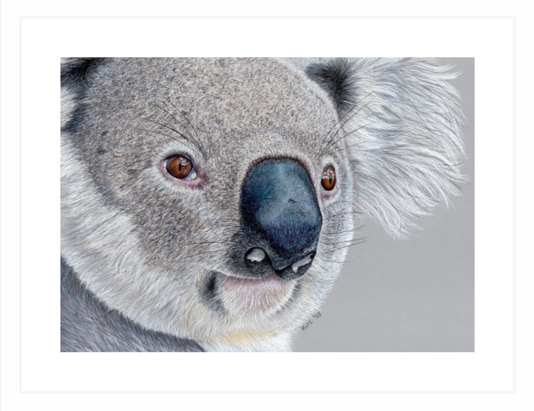 "Handsome" Framed Fine Art Print