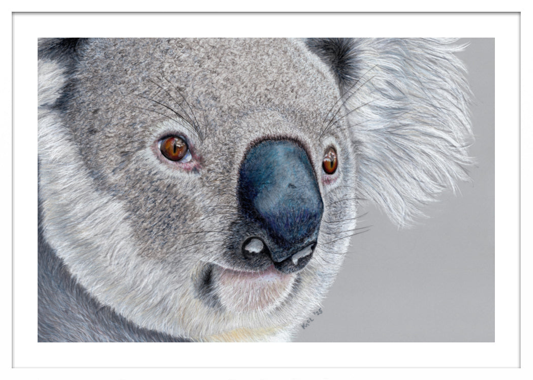 "Handsome" Framed Fine Art Print