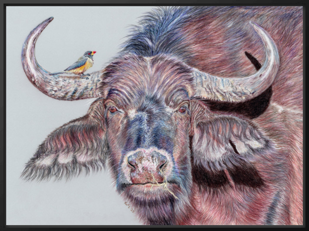 "Hitchhiker" Canvas Print