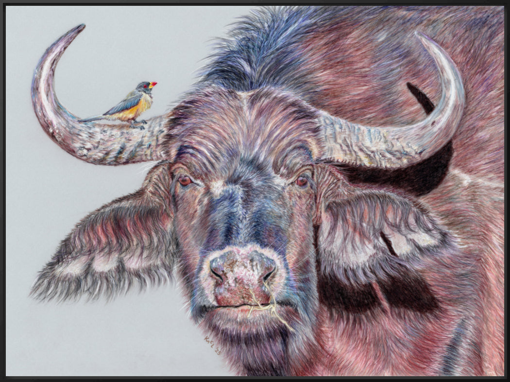 "Hitchhiker" Canvas Print