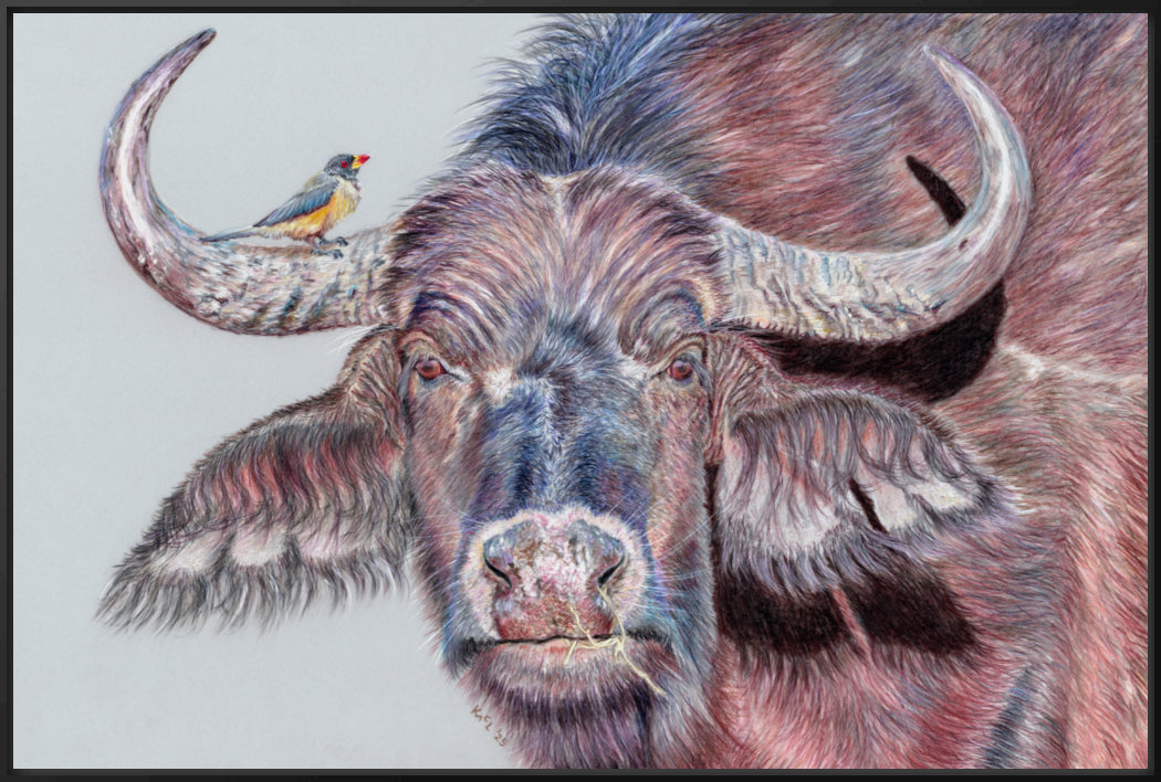 "Hitchhiker" Canvas Print