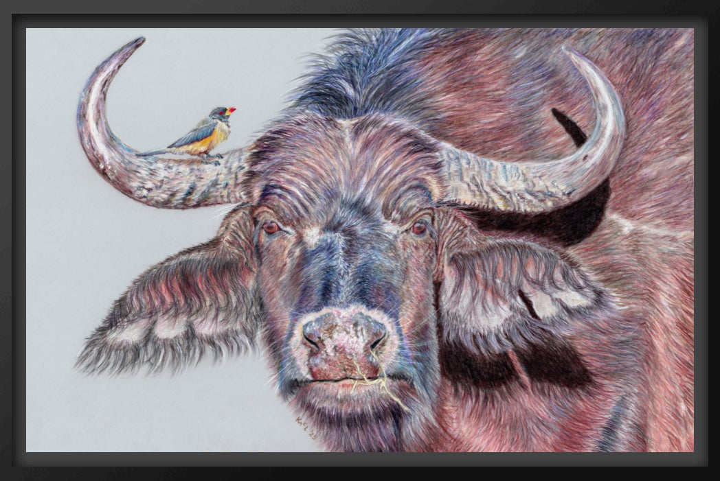 "Hitchhiker" Canvas Print