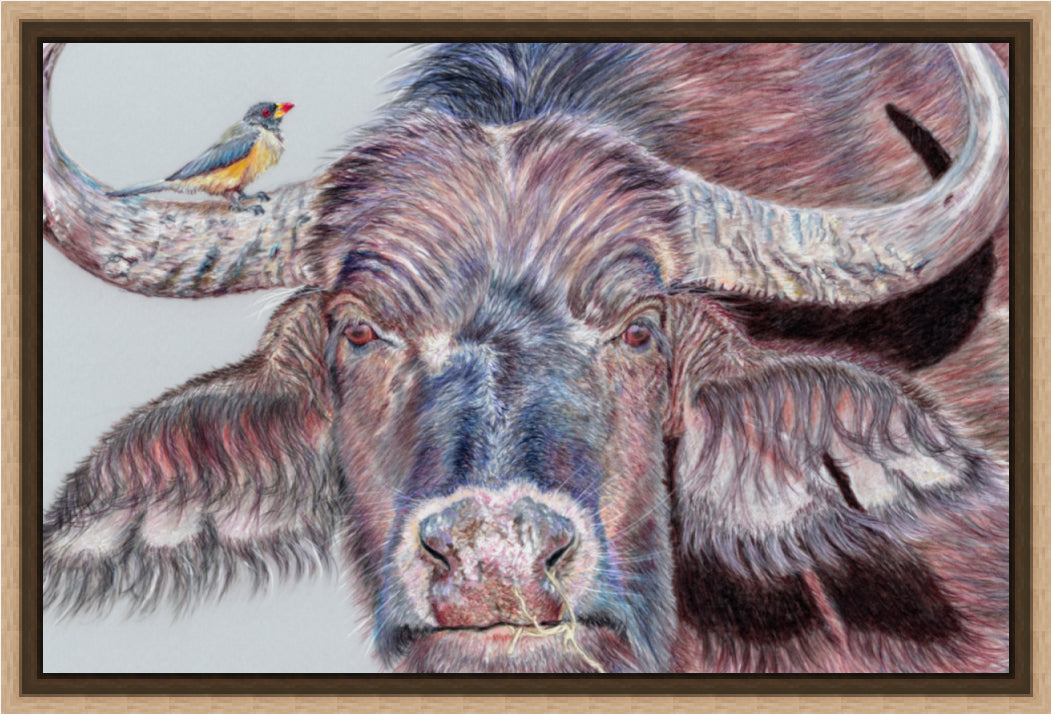 "Hitchhiker" Canvas Print