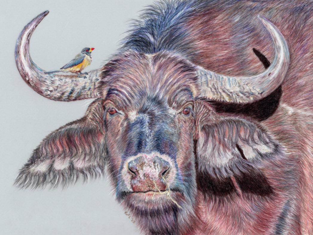 "Hitchhiker" Canvas Print