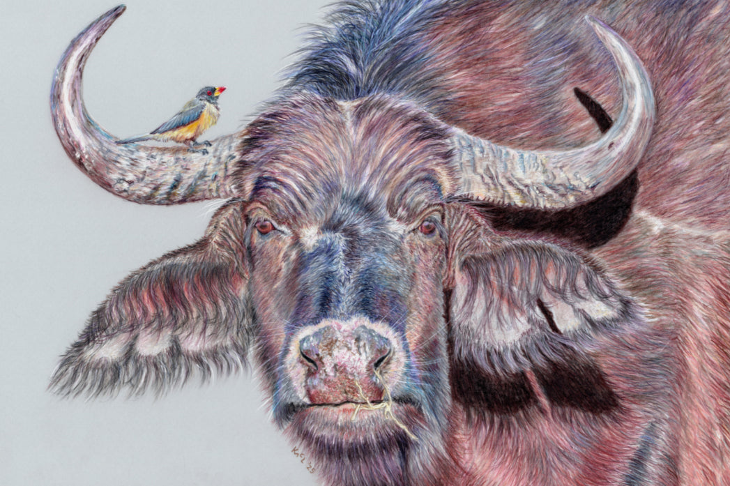 "Hitchhiker" Canvas Print