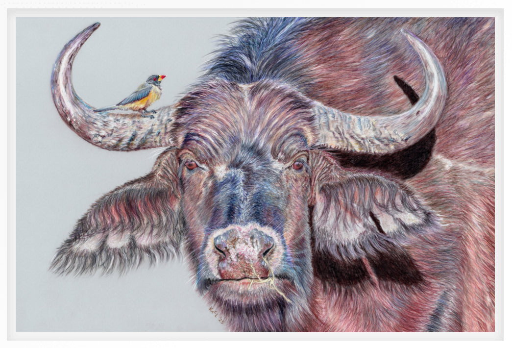 "Hitchhiker" Canvas Print