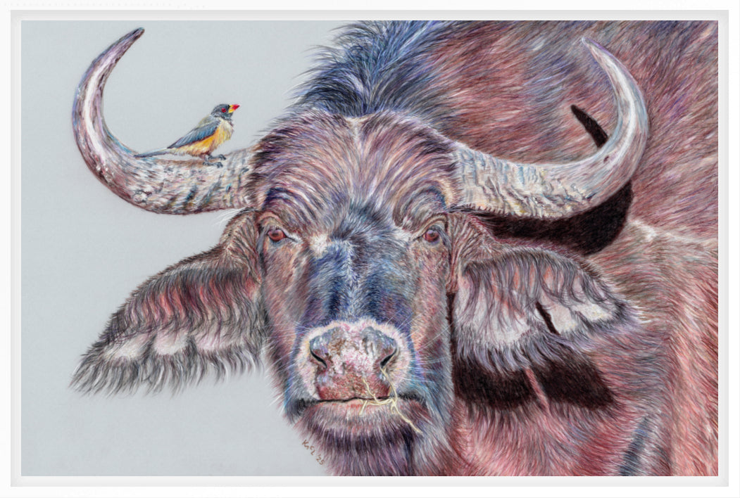 "Hitchhiker" Canvas Print