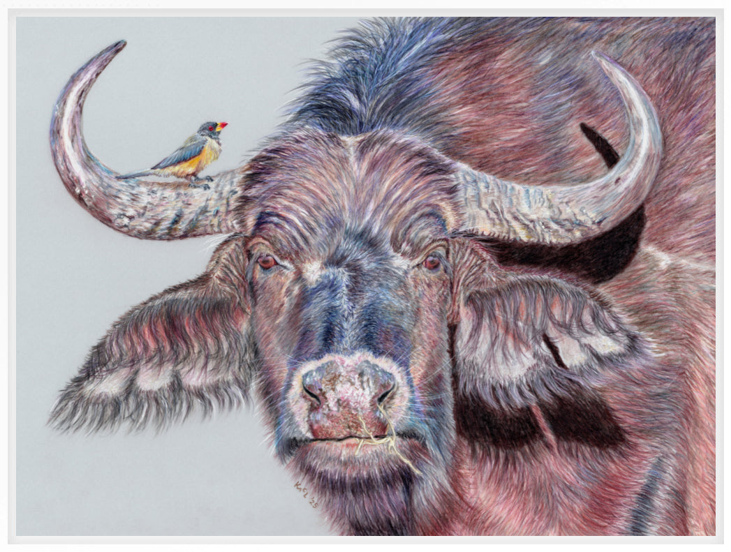 "Hitchhiker" Canvas Print