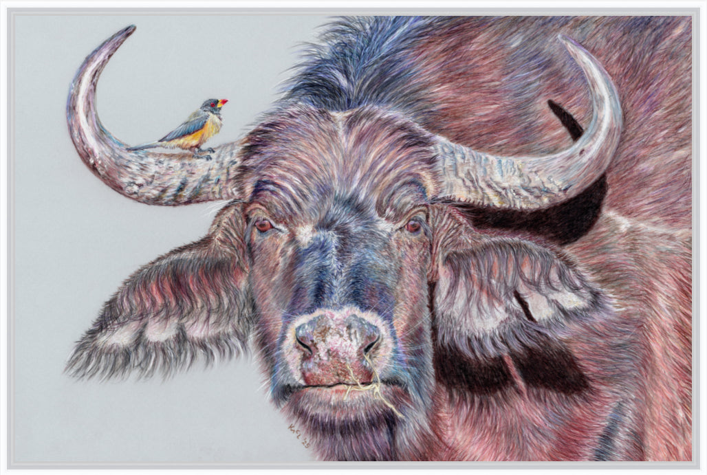 "Hitchhiker" Canvas Print