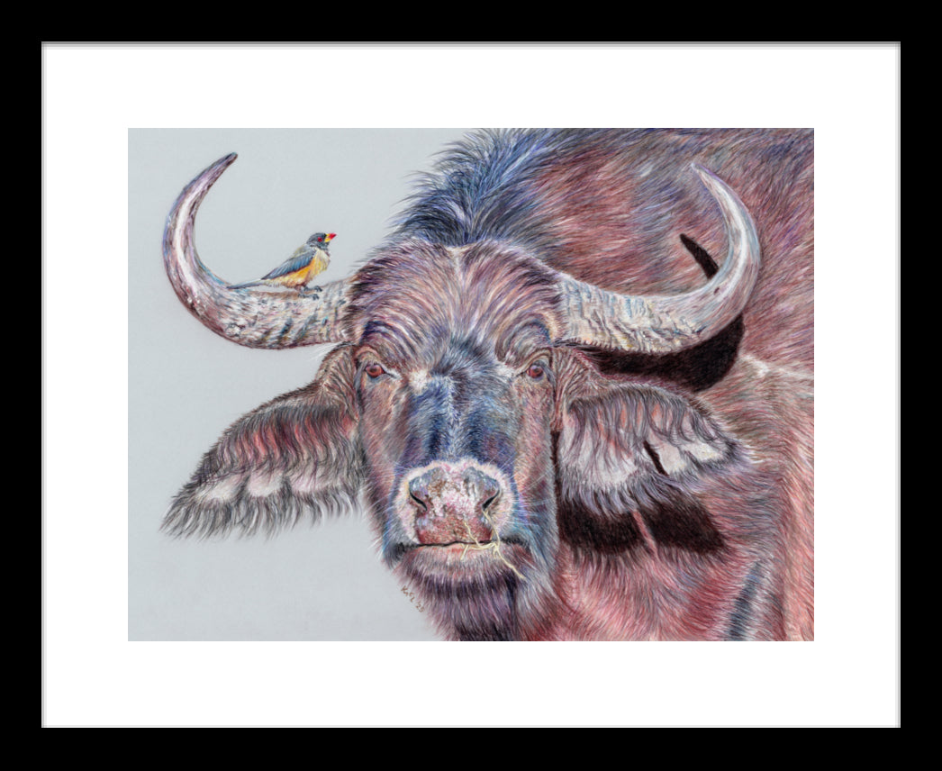 "Hitchhiker" Framed Fine Art Print
