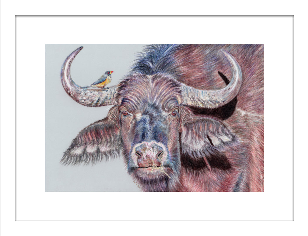 "Hitchhiker" Framed Fine Art Print