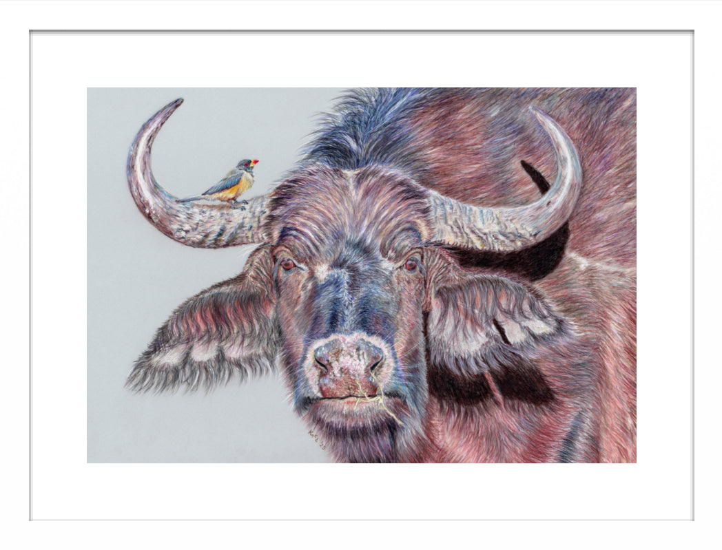 "Hitchhiker" Framed Fine Art Print