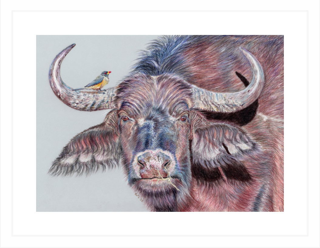 "Hitchhiker" Framed Fine Art Print