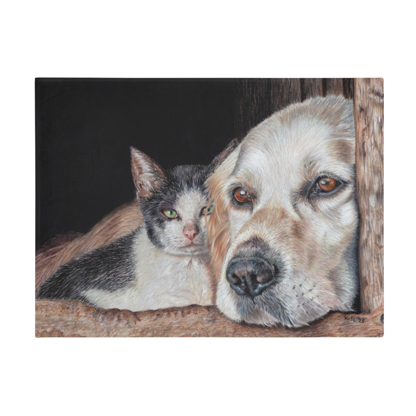 Kindred Spirits Blanket