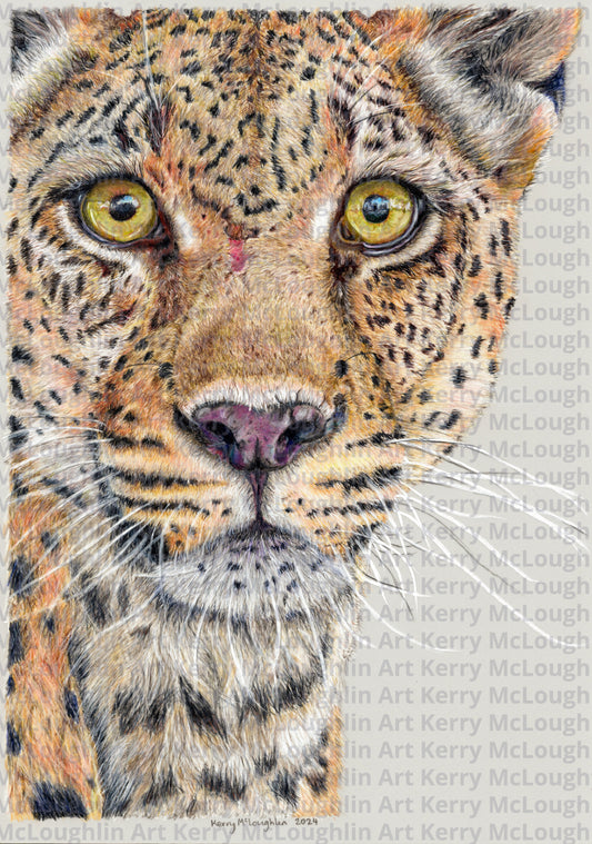 "Fight Or Flight" Framed Fine Art Print