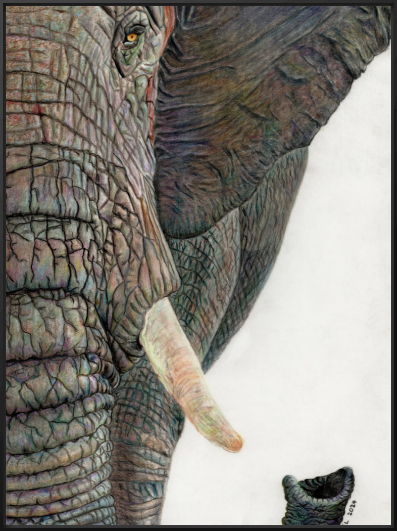 "Memory Lines" Canvas Print