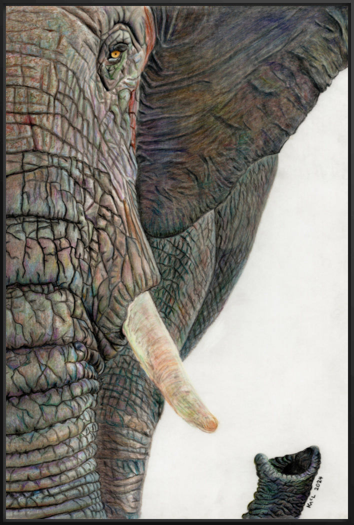 "Memory Lines" Canvas Print