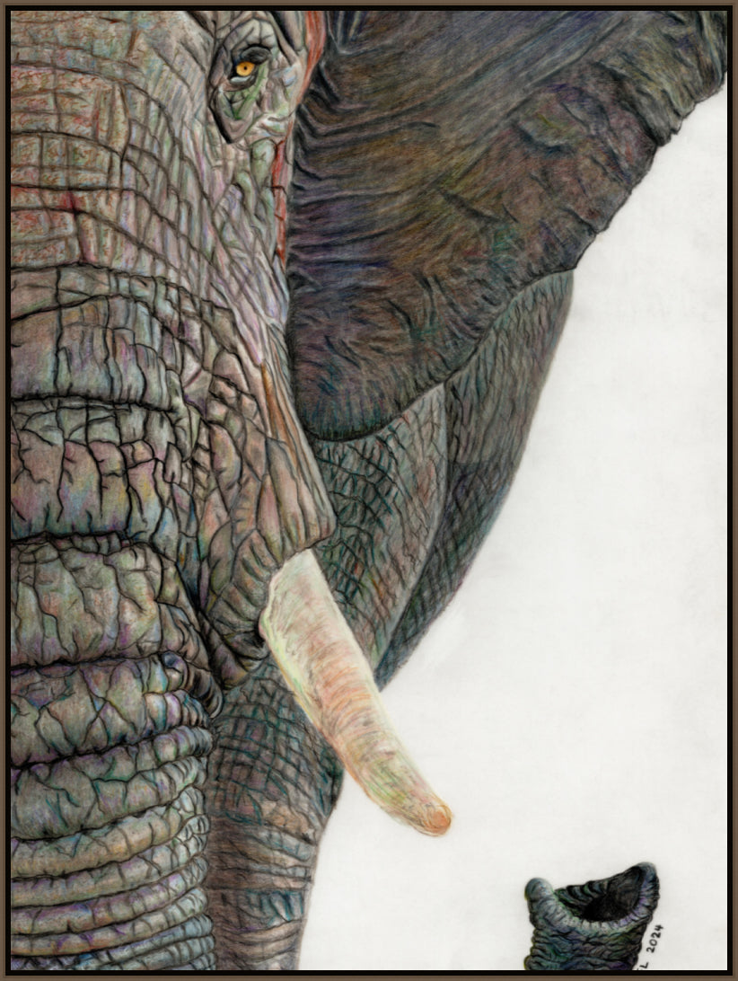 "Memory Lines" Canvas Print