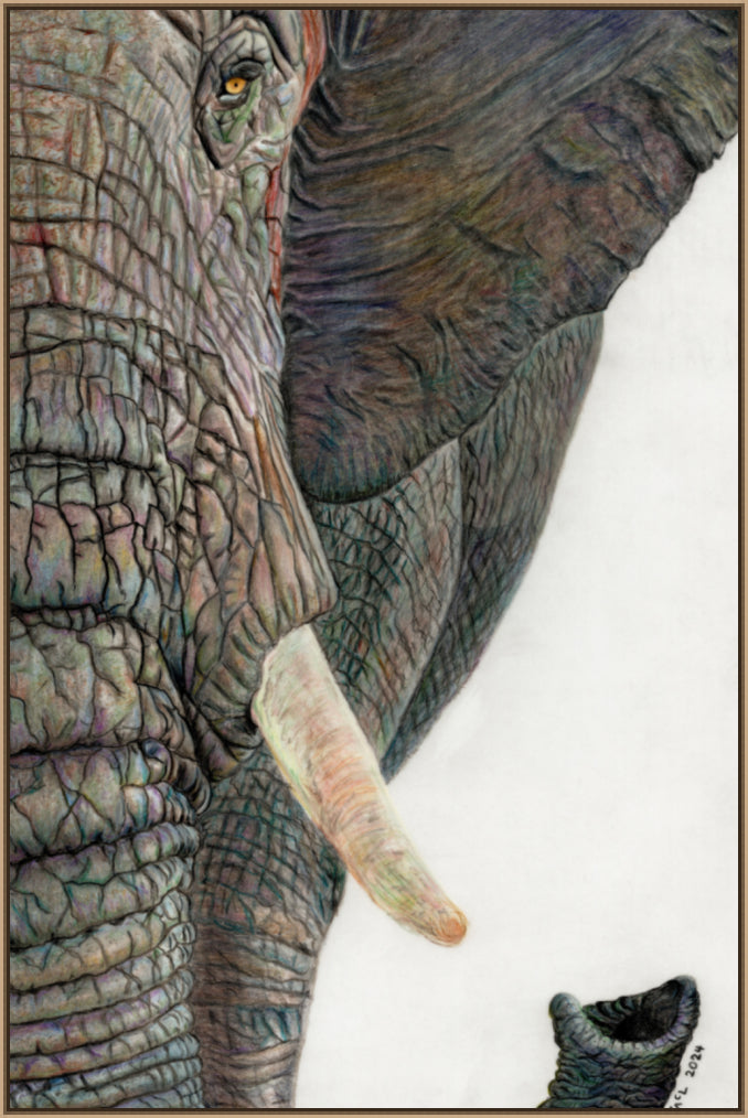 "Memory Lines" Canvas Print