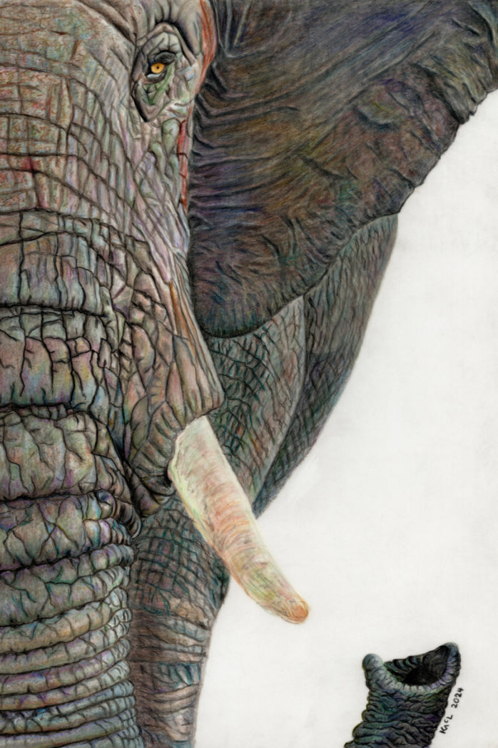 "Memory Lines" Canvas Print