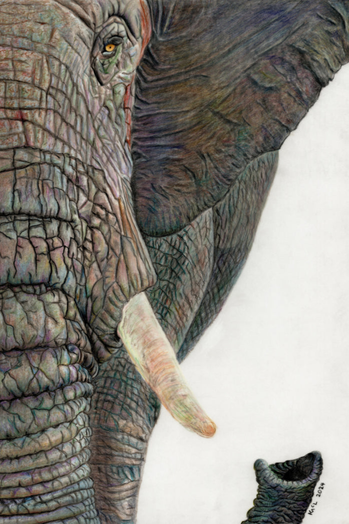 "Memory Lines" Canvas Print