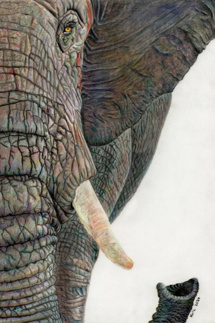 "Memory Lines" Canvas Print