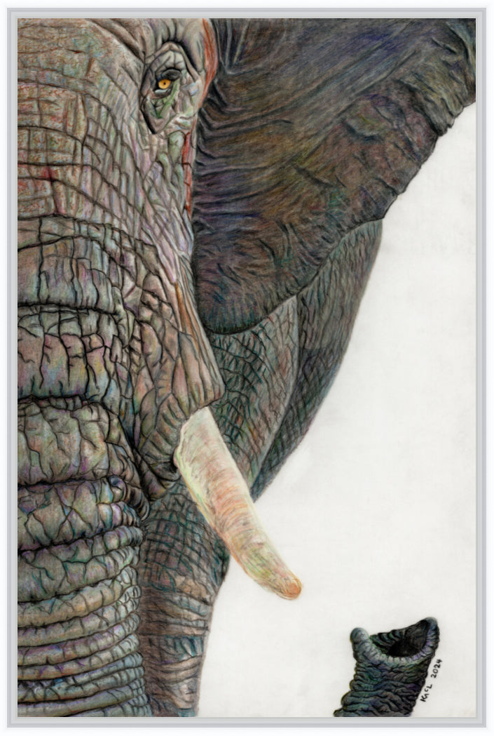 "Memory Lines" Canvas Print