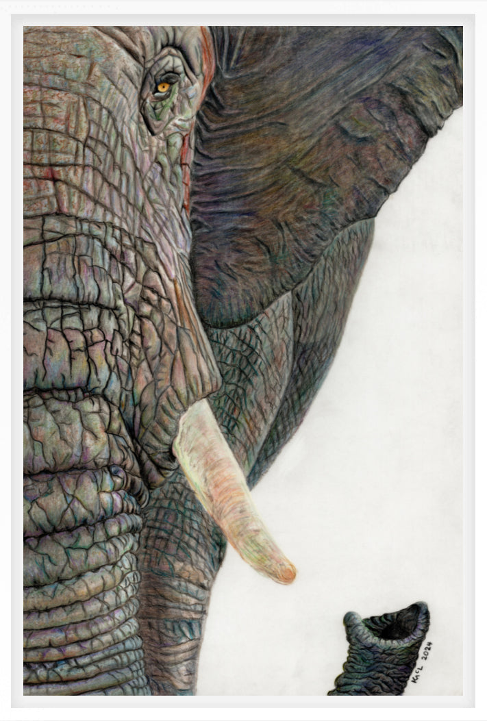 "Memory Lines" Canvas Print