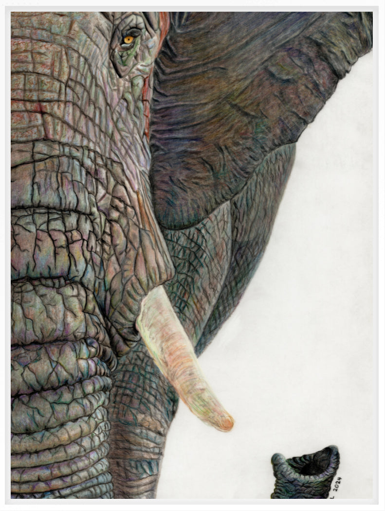 "Memory Lines" Canvas Print