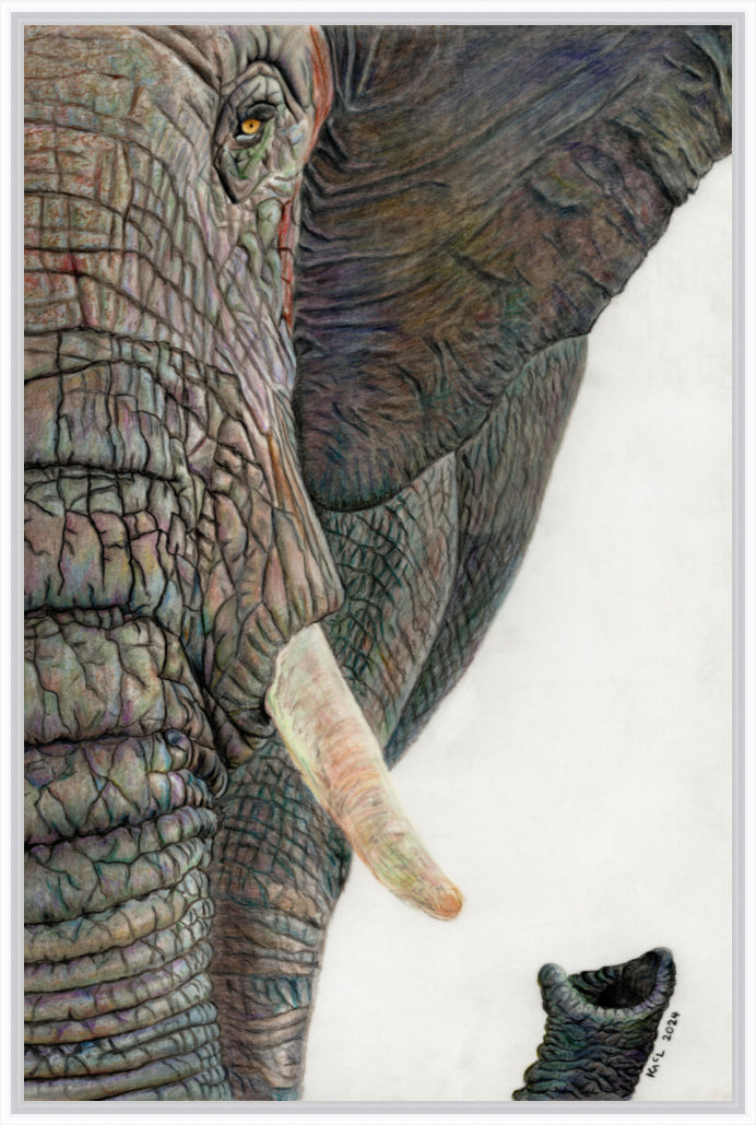 "Memory Lines" Canvas Print