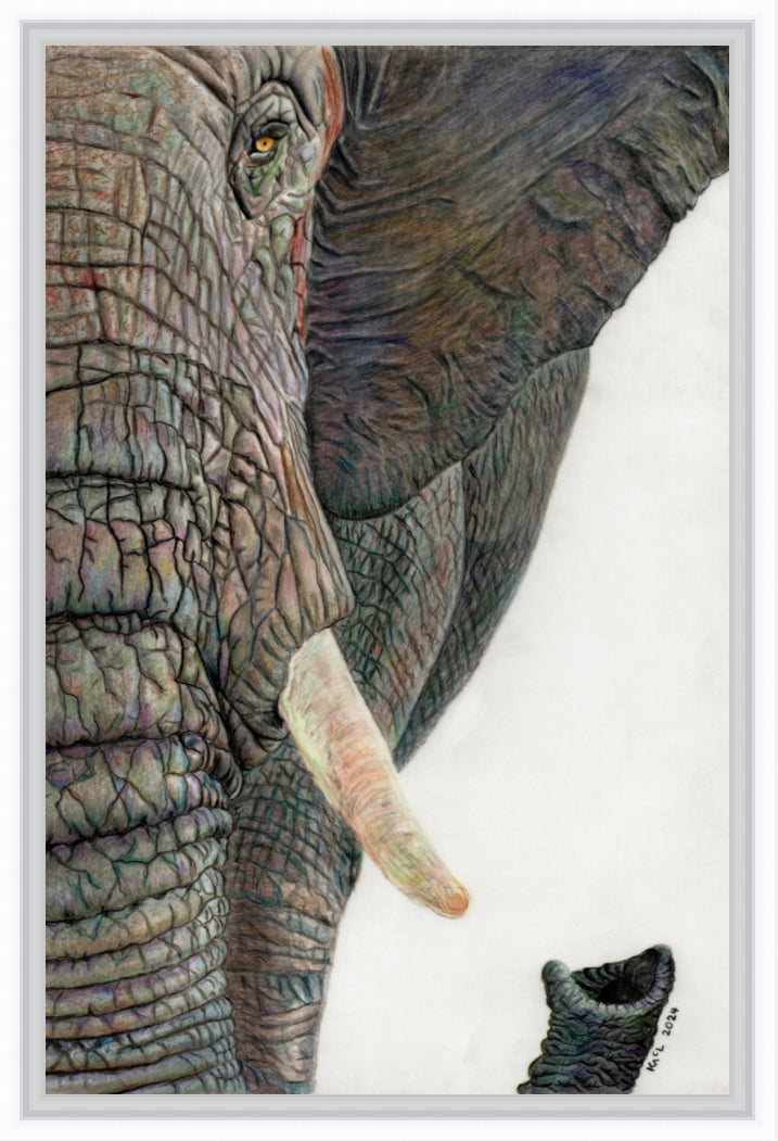 "Memory Lines" Canvas Print