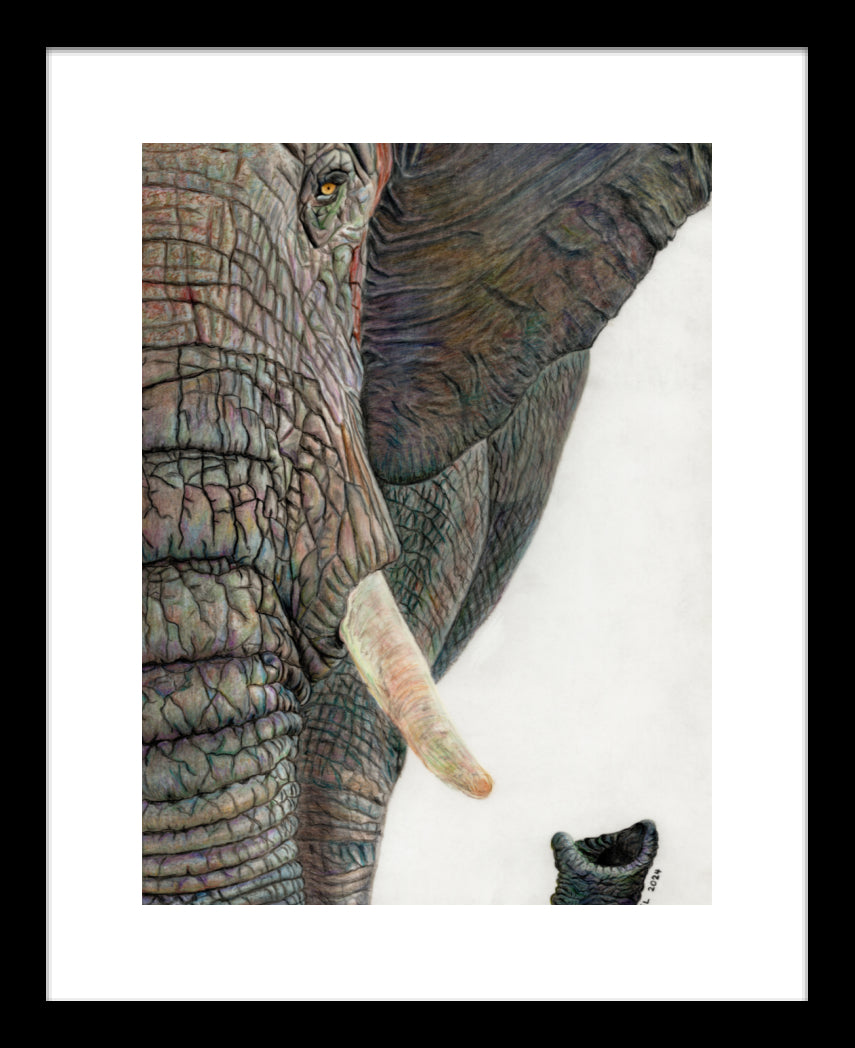 "Memory Lines" Framed Fine Art Print