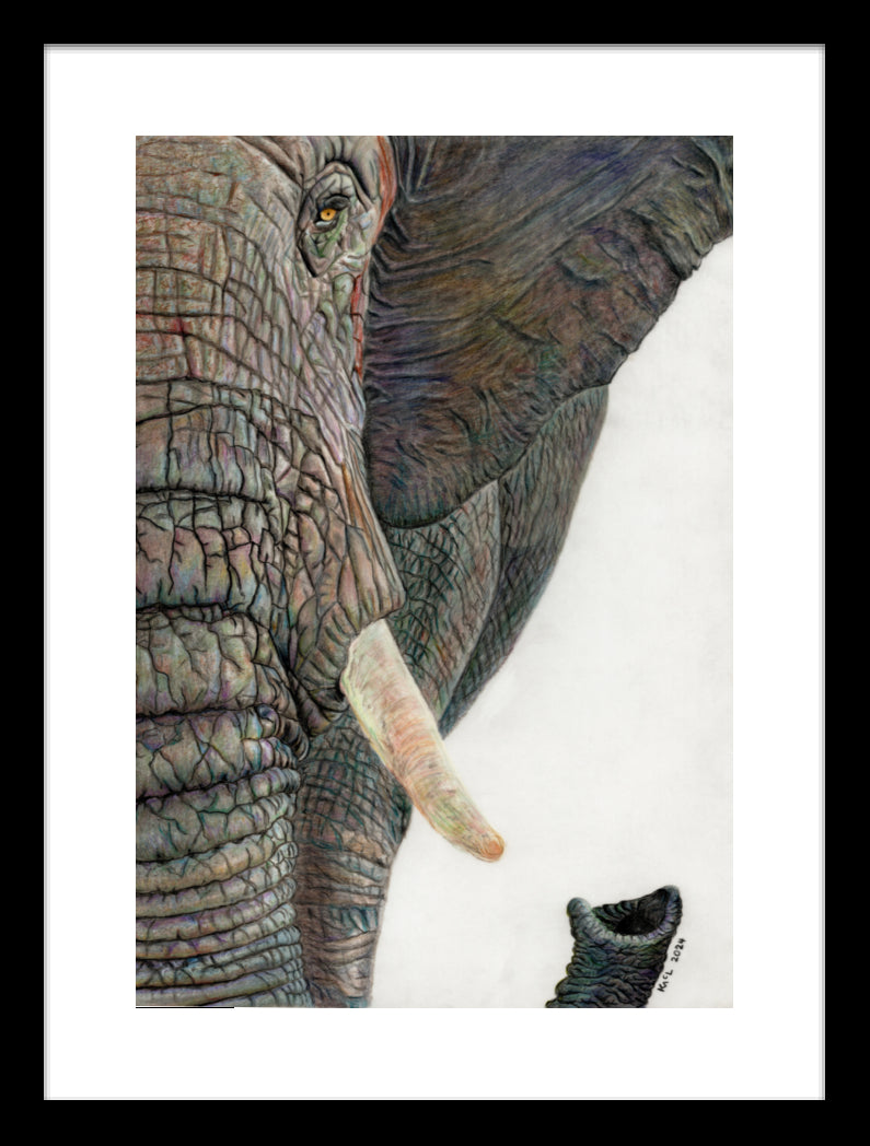 "Memory Lines" Framed Fine Art Print