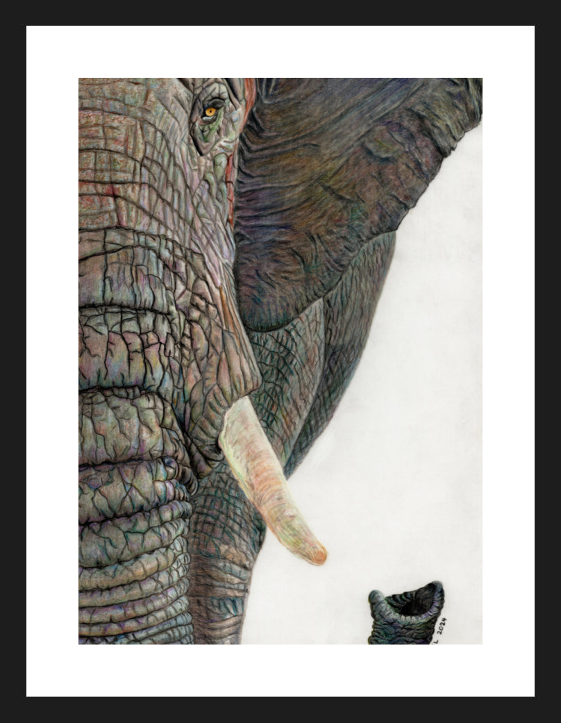 "Memory Lines" Framed Fine Art Print