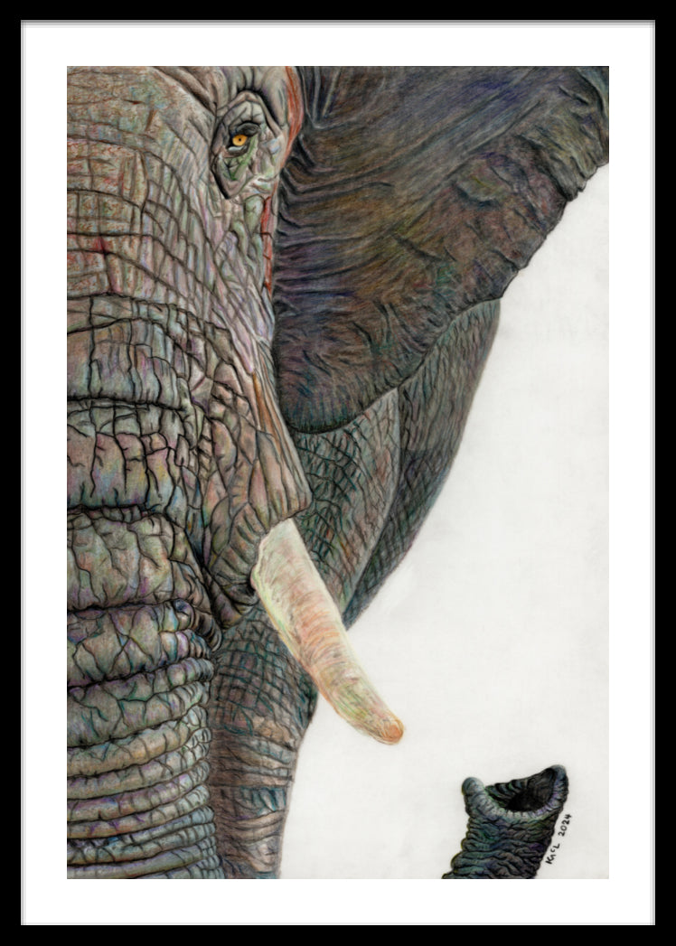 "Memory Lines" Framed Fine Art Print