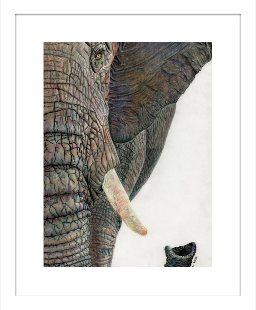 "Memory Lines" Framed Fine Art Print