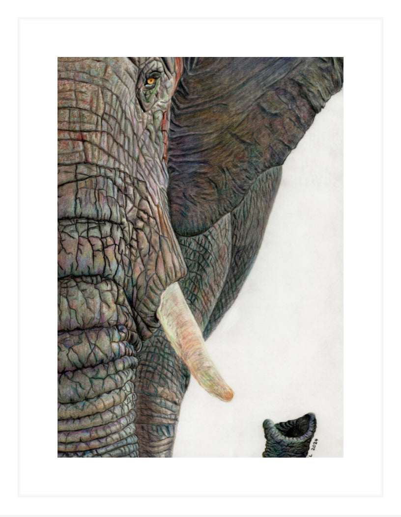 "Memory Lines" Framed Fine Art Print