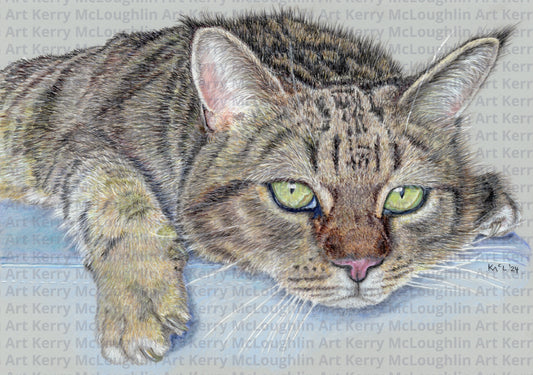 "Milky" Canvas Print