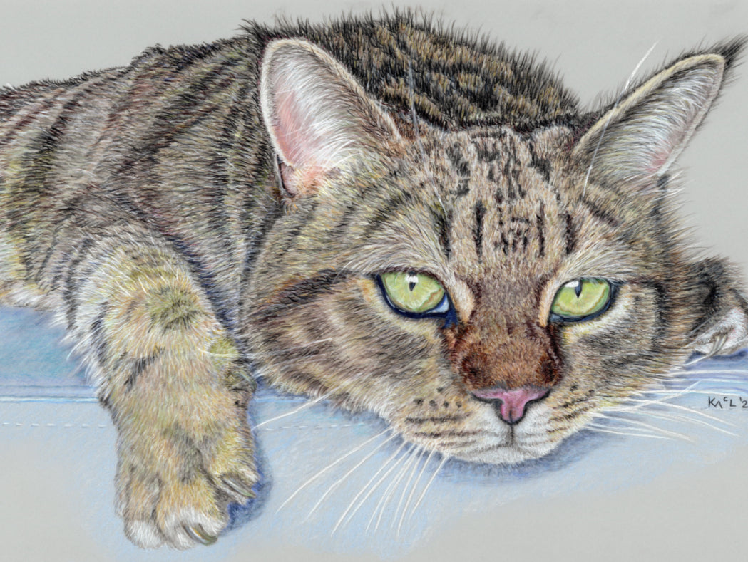 "Milky" Canvas Print