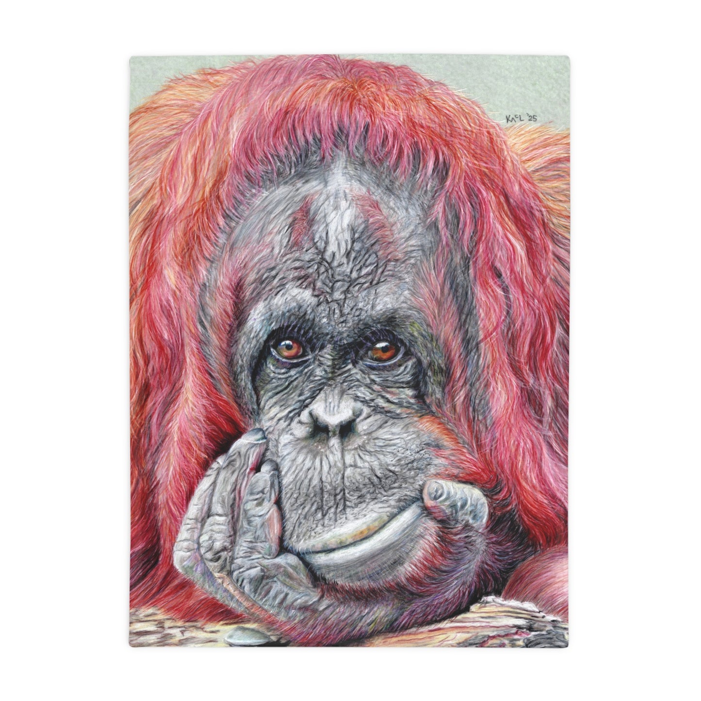 Contemplation Blanket