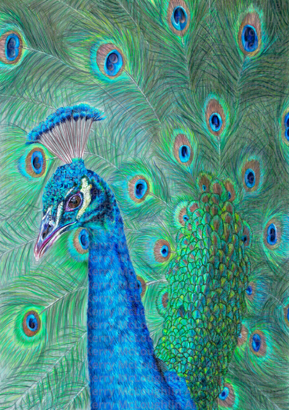 "The Eyes Have It" Unframed Fine Art Print