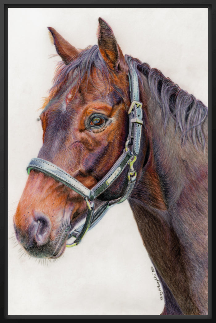 "Principles" Canvas Print