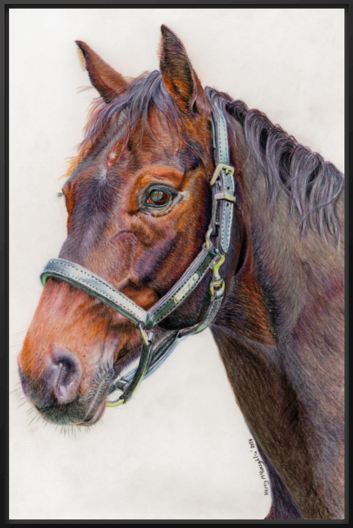 "Principles" Canvas Print