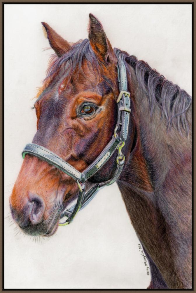 "Principles" Canvas Print