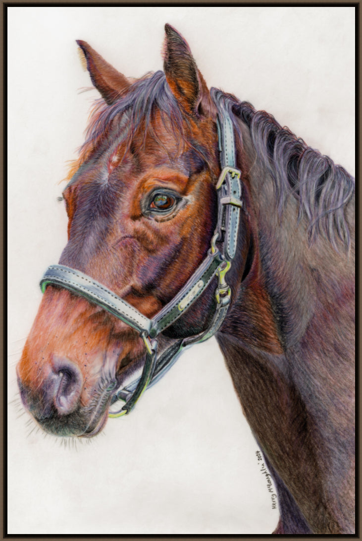 "Principles" Canvas Print