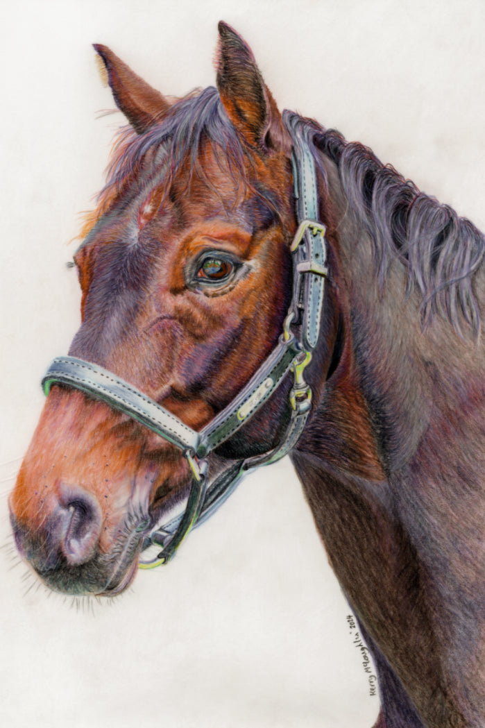 "Principles" Canvas Print