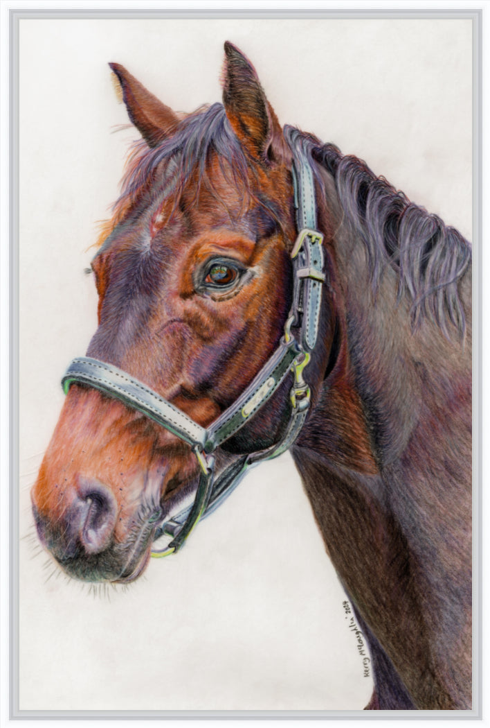 "Principles" Canvas Print